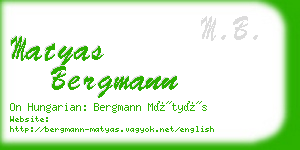 matyas bergmann business card